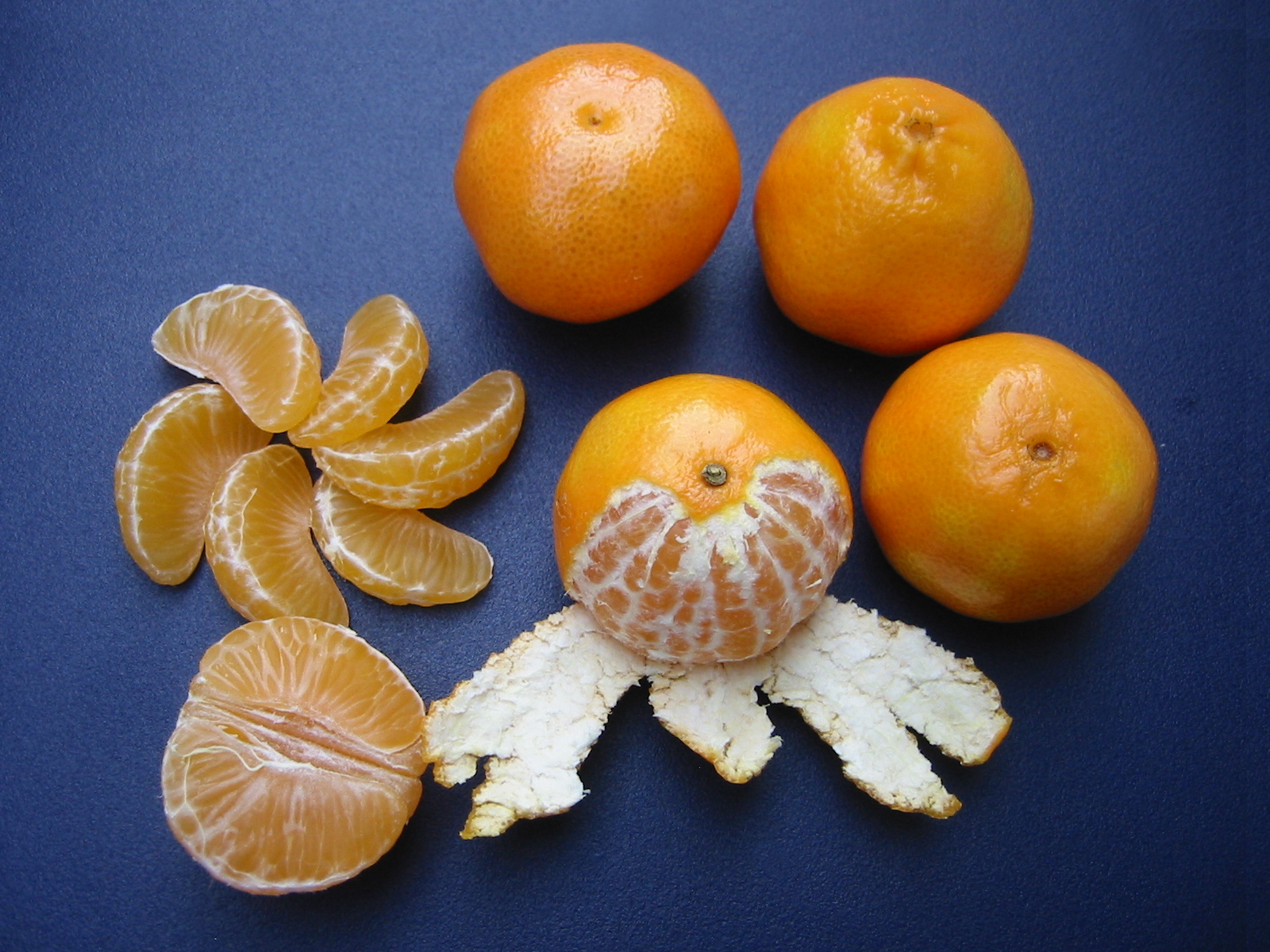 Citrus clementina