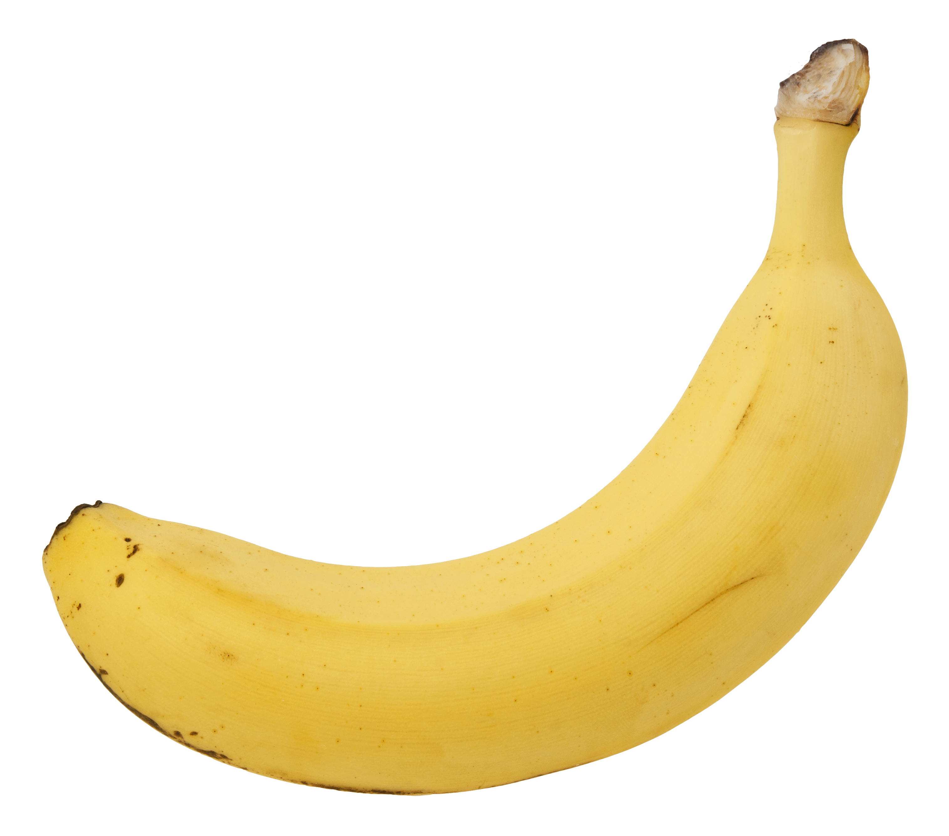 Musa balbisiana