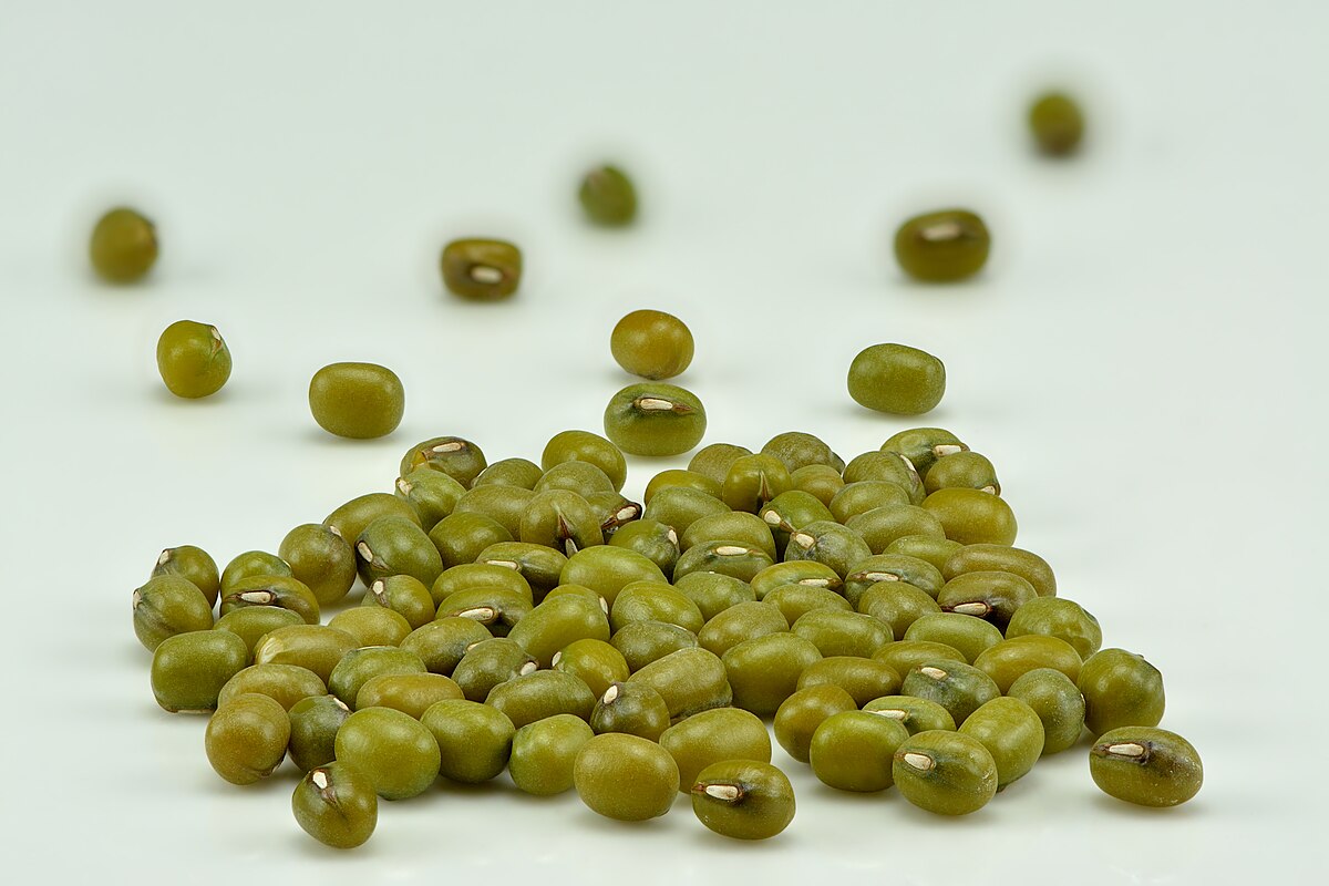 Vigna radiata Weliv-9